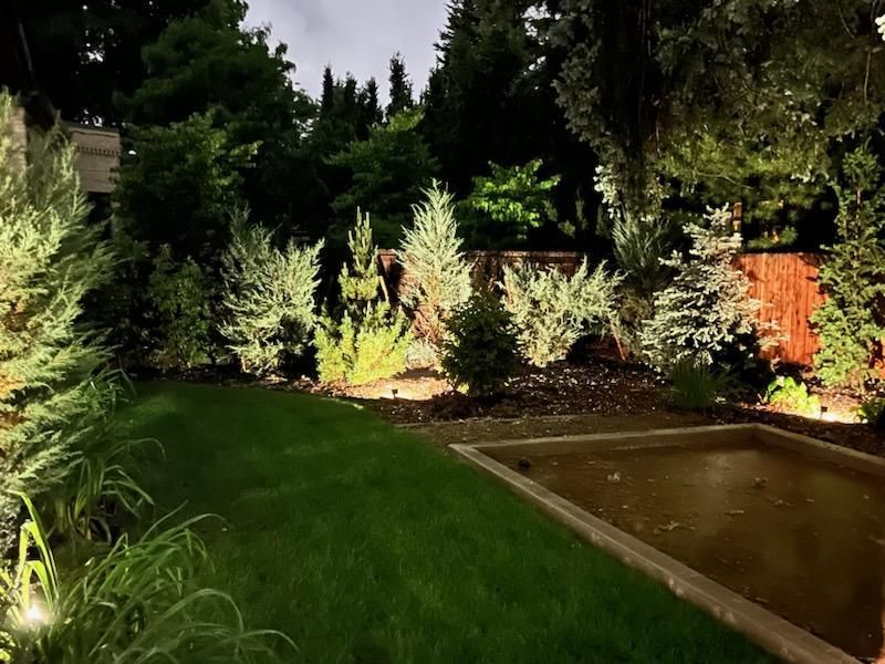 Back yard accent lighting