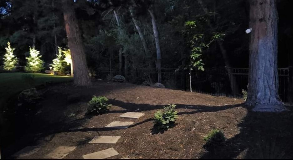 Tree down lighting in Parker