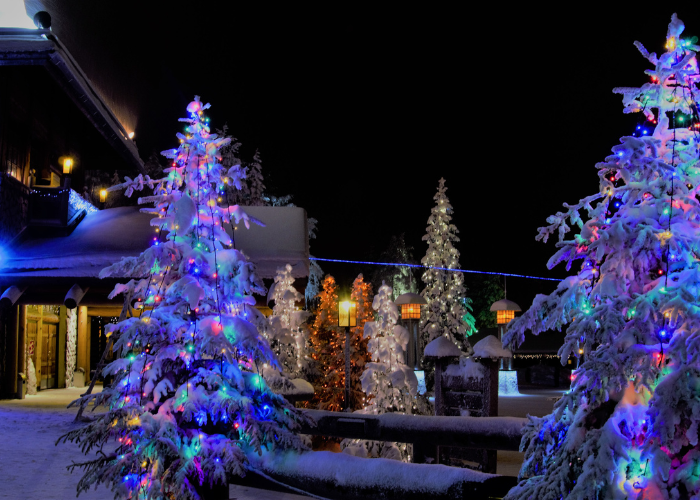 Christmas tree light installation