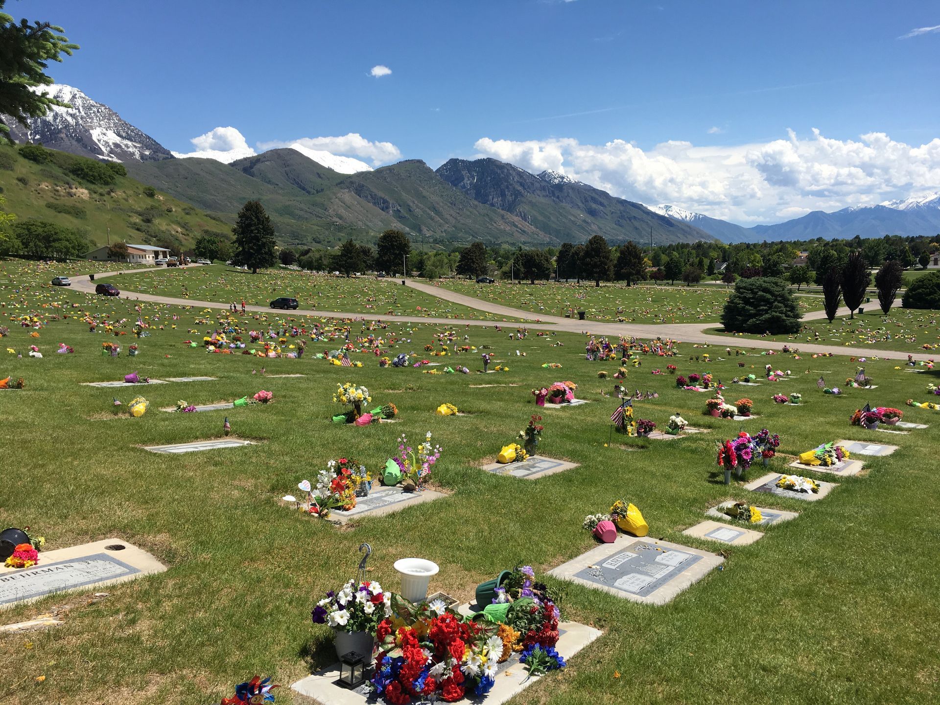 Funeral Director Consulting