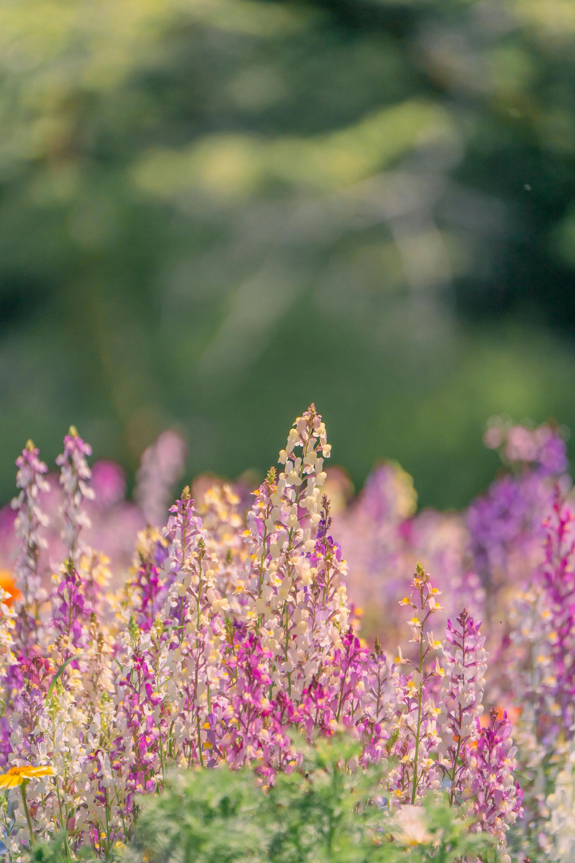 Professional and compassionate funeral service guidance at Berg Mortuary.