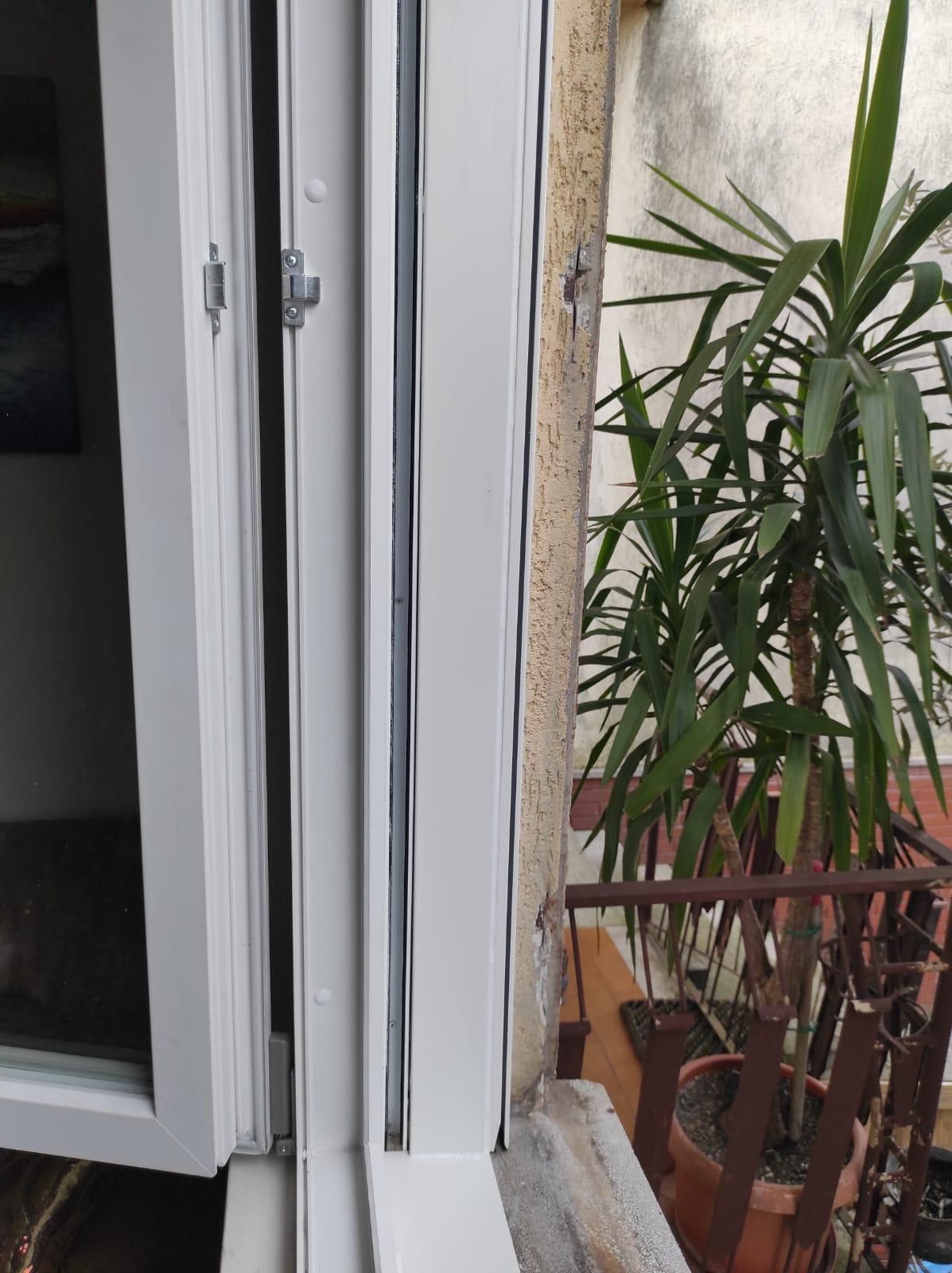 Una finestra bianca con una pianta davanti.