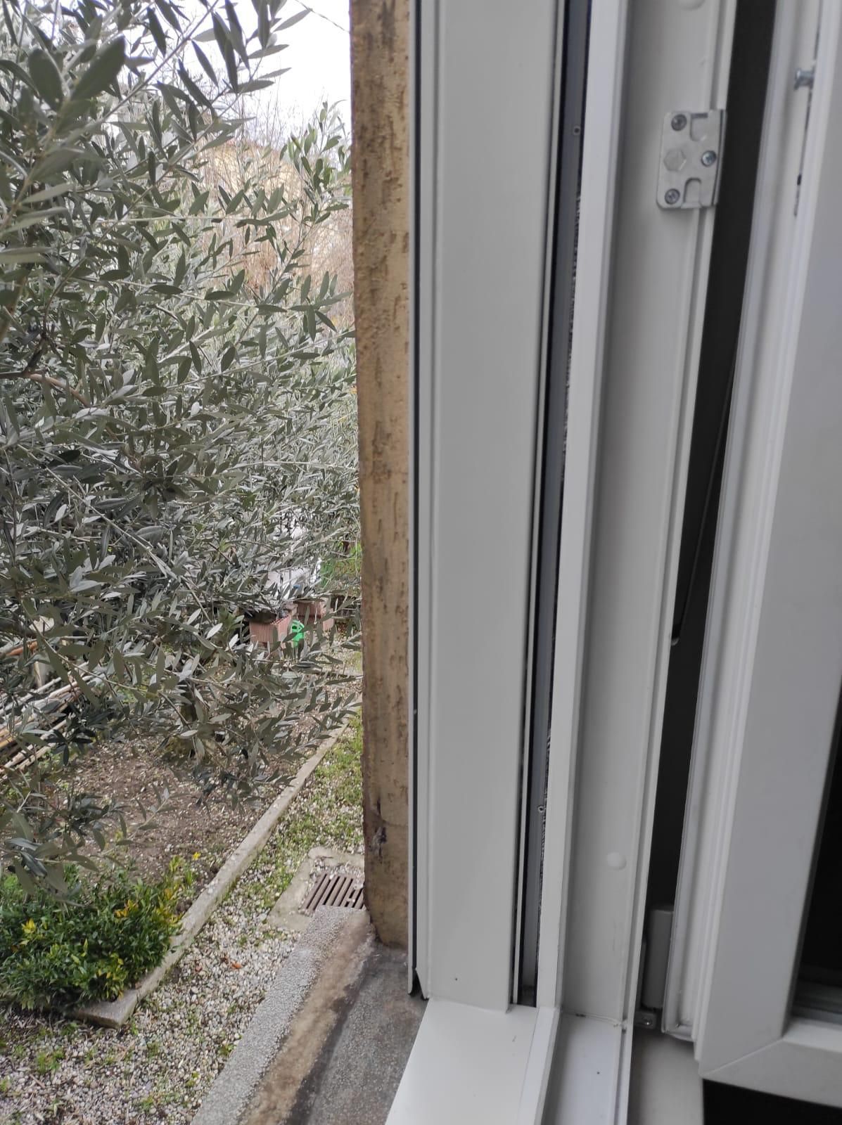 Una finestra bianca con vista sul giardino e sugli alberi.