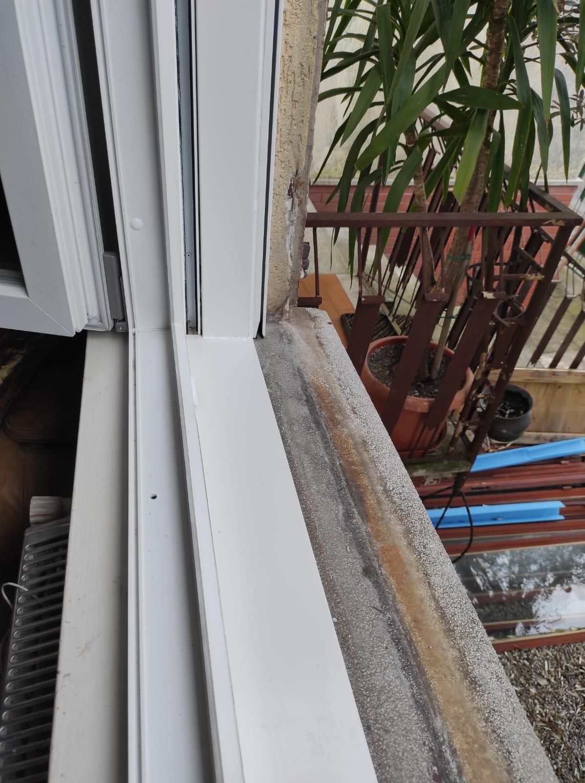 Un primo piano di una finestra con una pianta sullo sfondo.