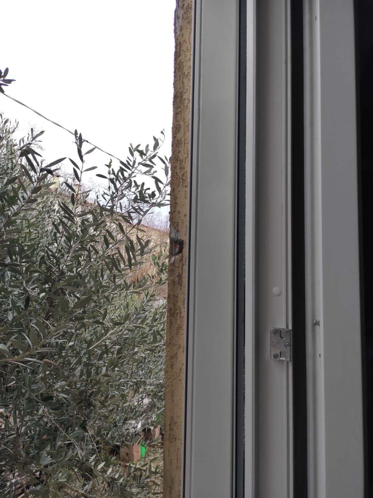 Un primo piano di una finestra con un albero sullo sfondo.