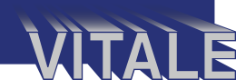 vanin logo
