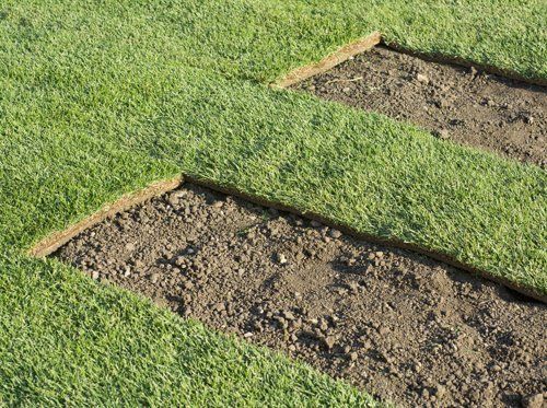 Sod/Hydroseed Spots on Commercial Lawn, Landscape Contractors in San Antonio TX