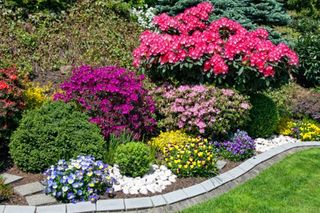 Beautiful flower garden -  Services in Grand Junction, CO