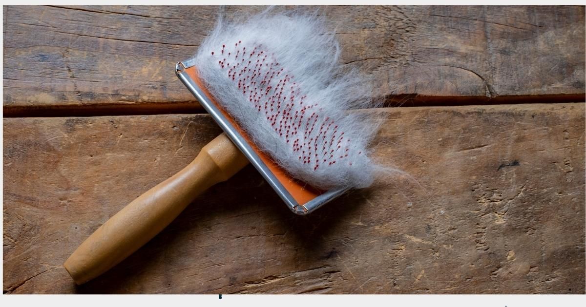 A wooden-handled pet brush, covered with white fur, rests on a wood surface.