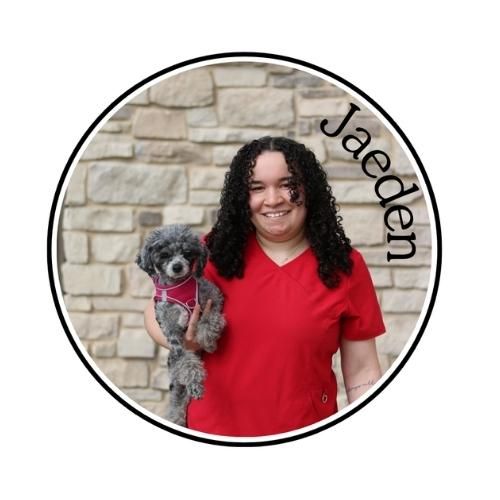Woman in red shirt holding a small gray dog in front of a stone wall, with “Jaeden” text.