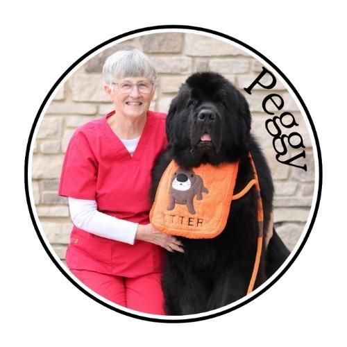 Woman in red scrubs sitting with a large black dog wearing an orange service vest against a stone wall
