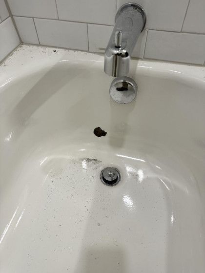 White bathtub with chrome faucet, drain, and open overflow drain.