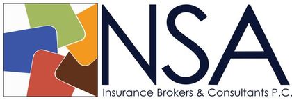 NSA PC logo