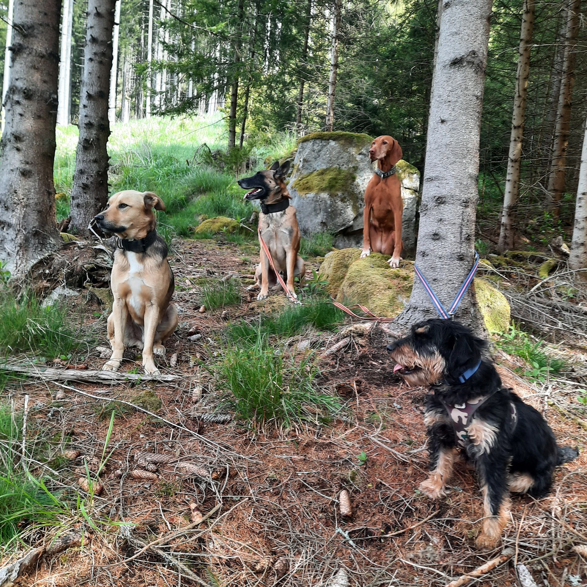 Margareta Liebfahrt und Pferd