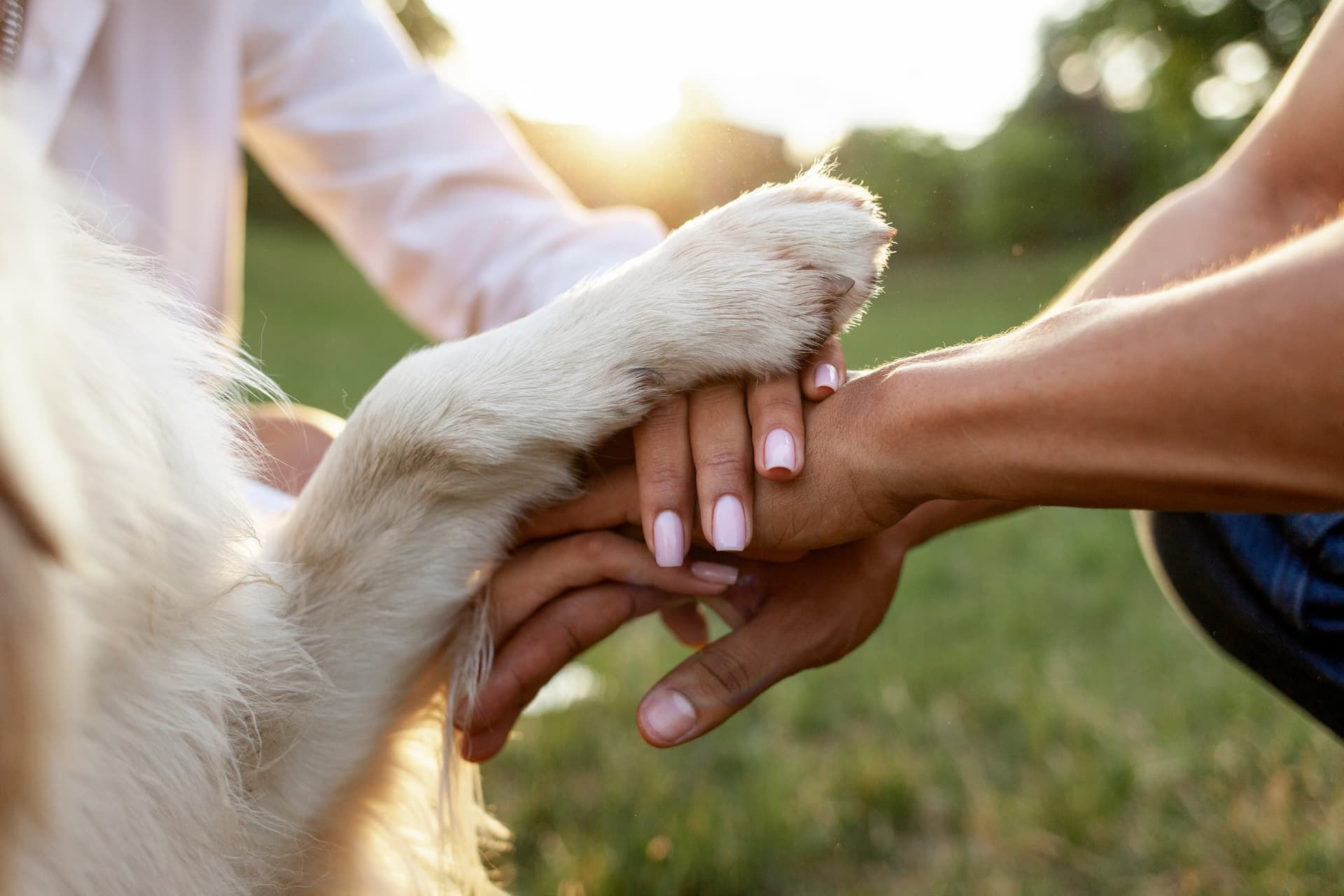 A man and a woman are holding a dog 's paw in their hands.