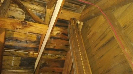 A ladder is hanging from the ceiling of a wooden building.