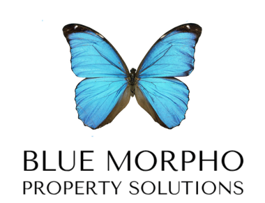 Blue Morpho Property Solutions Logo
