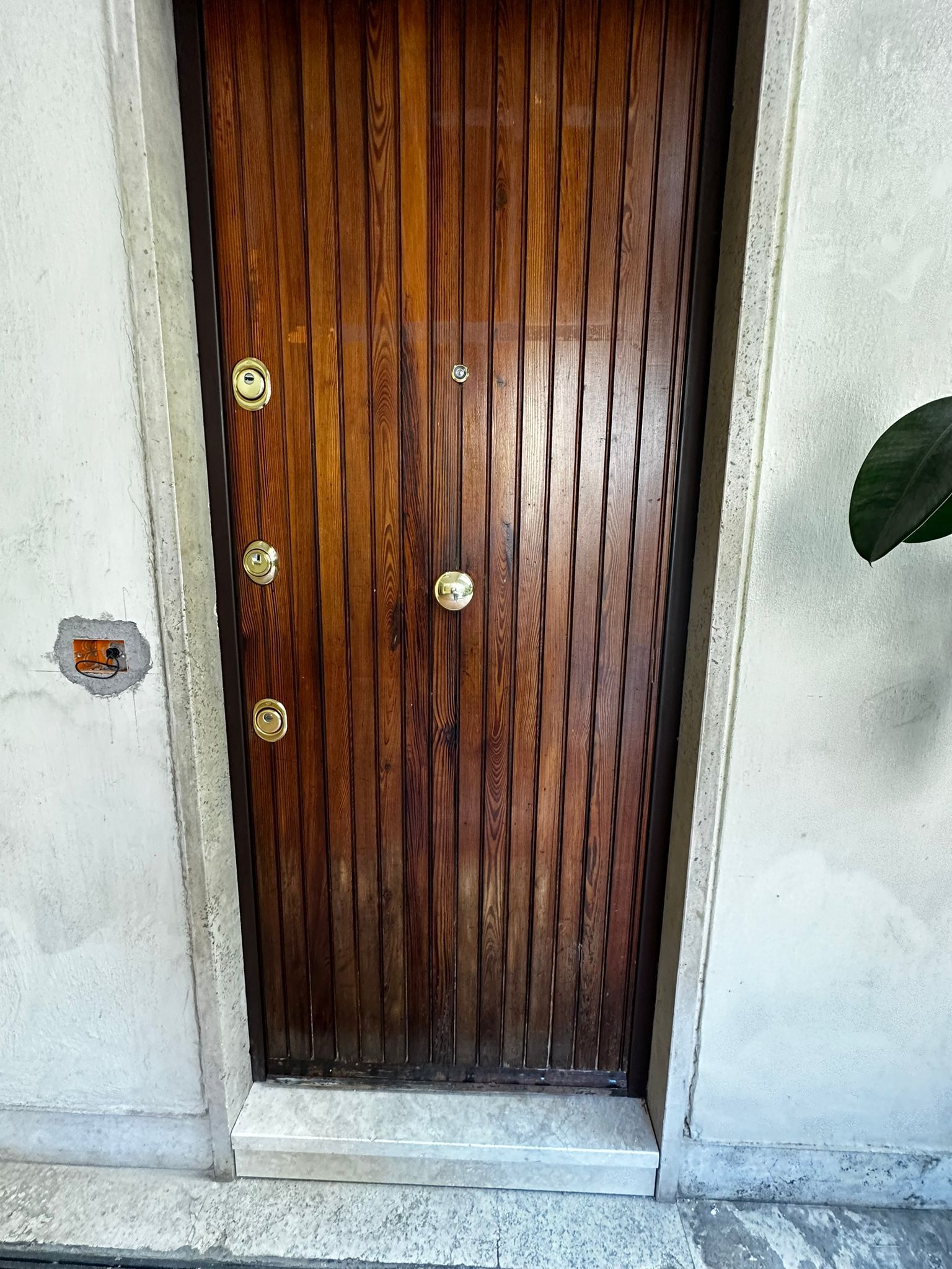 Porta d'ingresso in legno