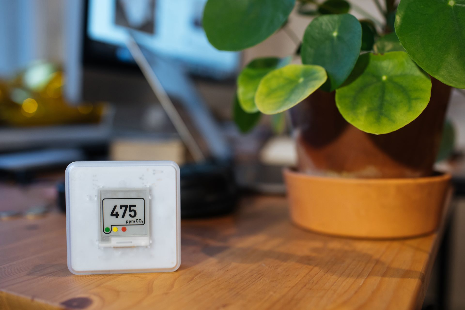 A thermometer is sitting on a wooden table next to a potted plant.