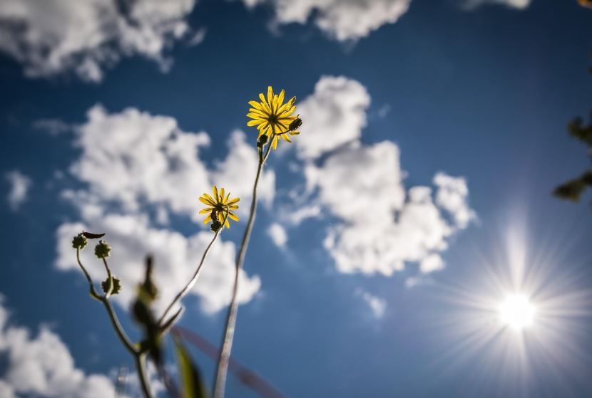 cremation services Downingtown, PA