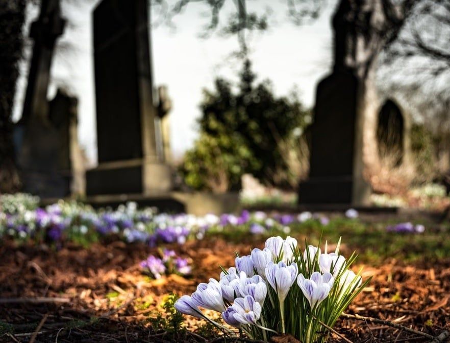 cremation services in Newtown Square, PA