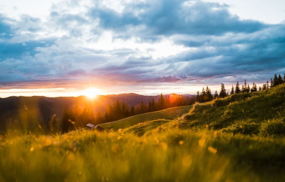 cremation services Newtown Square, PA