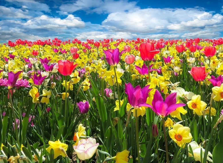 cremation services Upper Darby, PA