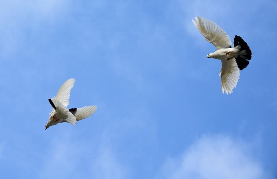 funeral homes Downingtown, PA