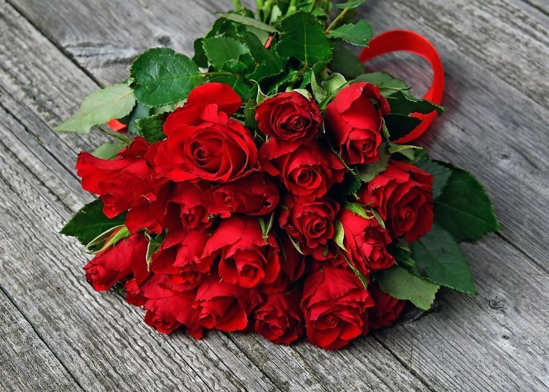 funeral homes Newtown Square, PA