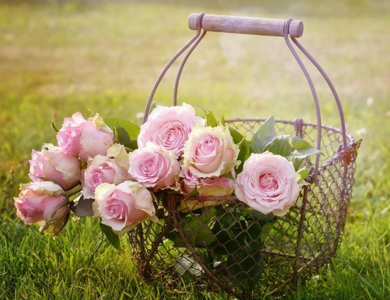 funeral homes Upper Darby, PA