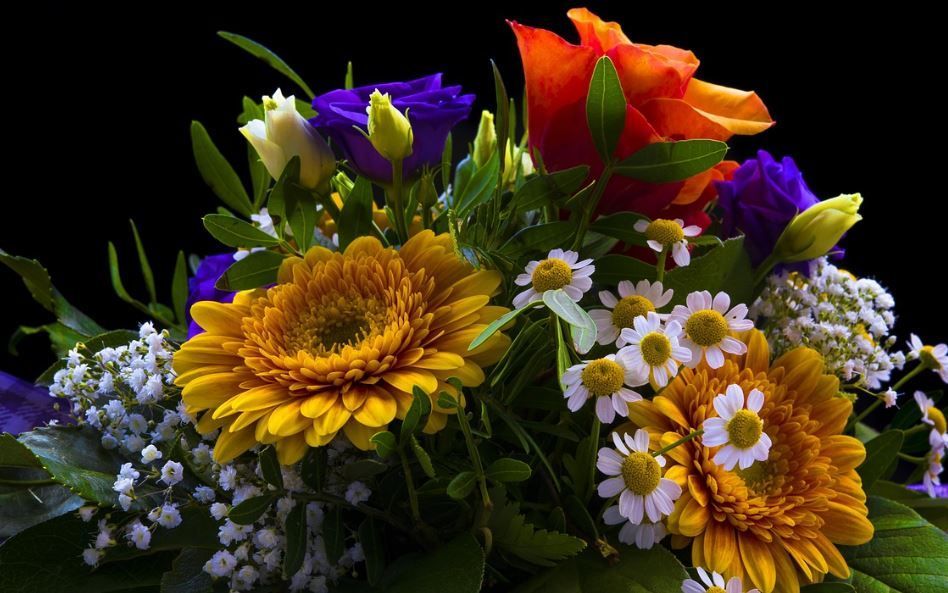 funeral homes Upper Darby, PA