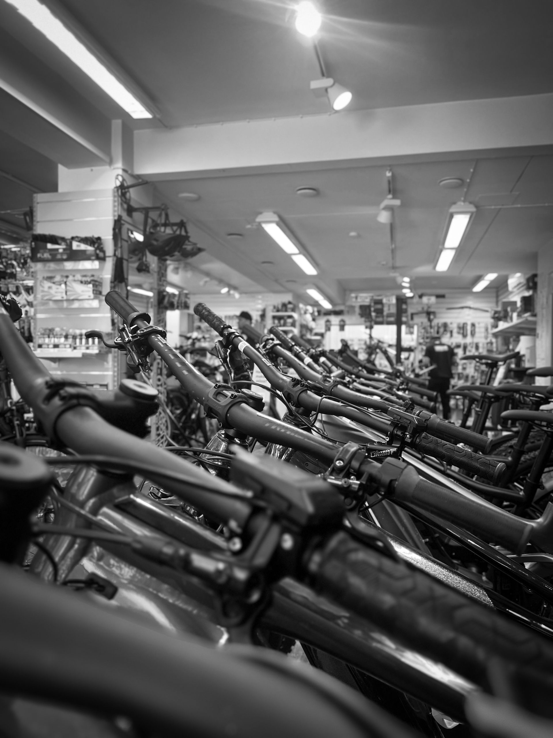 A black and white photo of a row of bicycles in a store