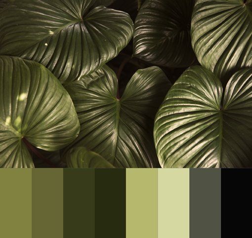 assistenza tecnica condizionatori d'aria