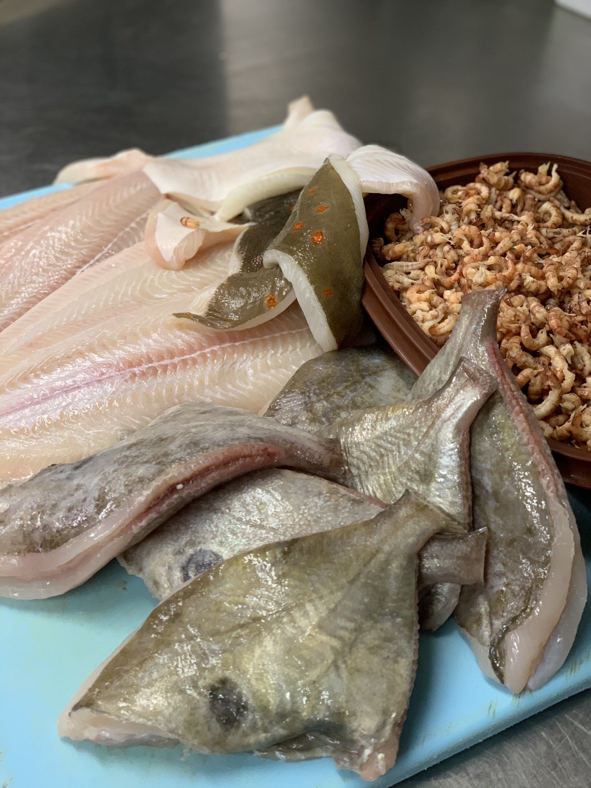 zonnevis, verse vis van zeebrugge , vismijn, vis van bij ons,verse vissoep, beste vissoep, vissoep, Marianne Pauwaert beste Vlaamse vissoep, Vlaamse vissoep, Noordzeevis,beste garnaalkroketten van zeebrugge, garnalen, veel garnalen, verse garnaalkroketten , restaurant , Tijdok, tijdok zeebrugge,meeuwen, pedro rappé, bereiding garnaalkroketten, restaurant, visrestaurant, zeebrugge , vissersschip, vismijn