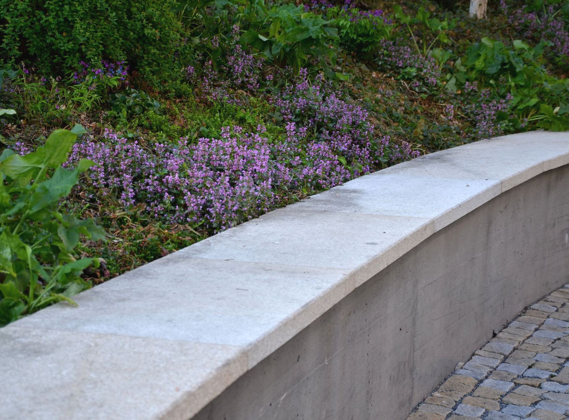 A concrete wall with purple flowers in the background