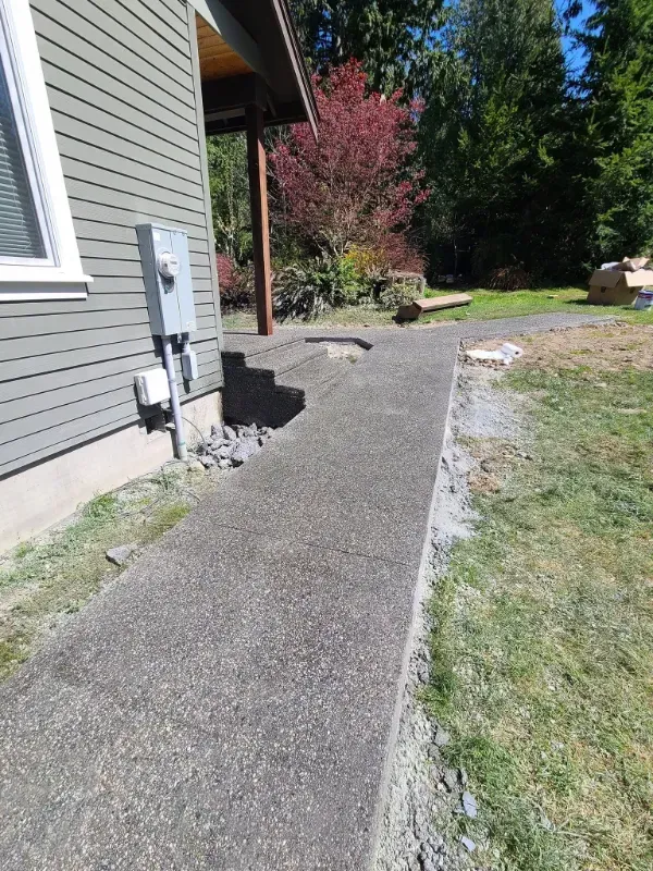 Concrete walkway next to a house with an electrical box. Green siding and grass.