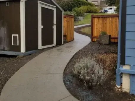 a concrete walkway leading to a shed and a blue house in Bellingham Washington.