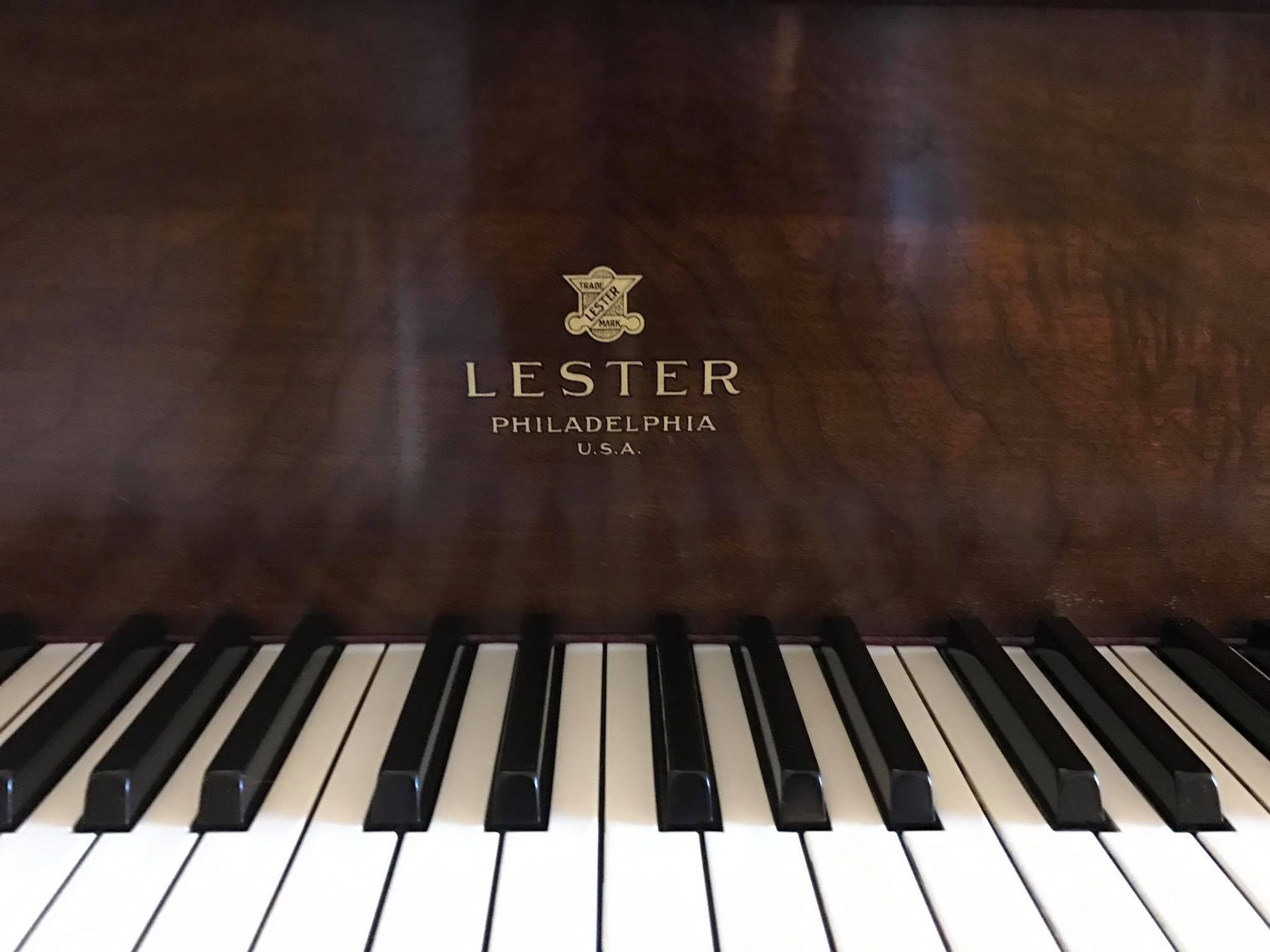 Close-up of a Lester piano fallboard with keys below, showing the gold brand logo on polished dark wood.