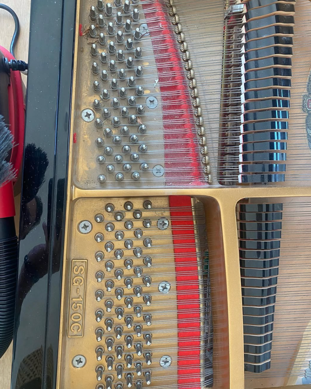 Close-up of a piano’s strings, hammers, and felt action mechanism inside the instrument.