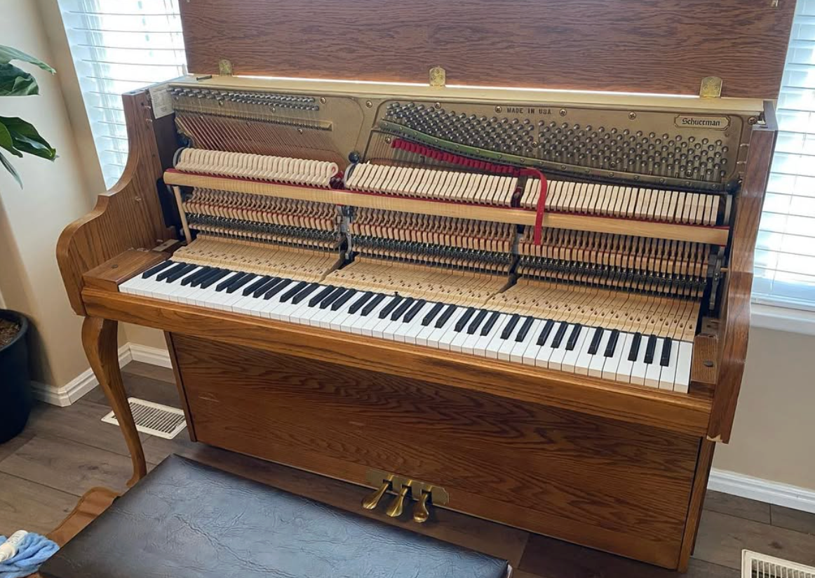 Upright piano with exposed internal action, viewed from the front in a room with wood floors and a potted plant.