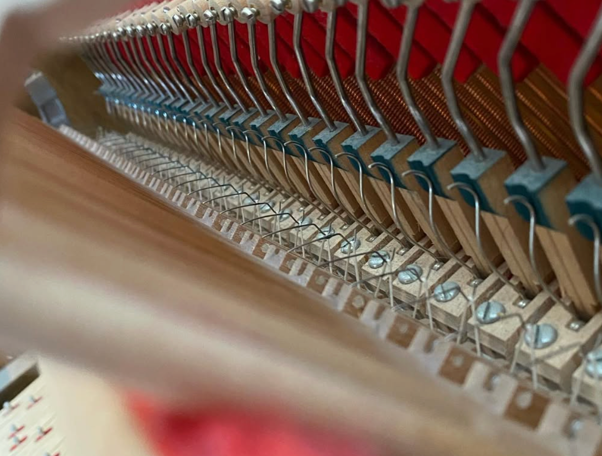 Close-up of a piano action with rows of felt-covered hammers and strings inside the instrument