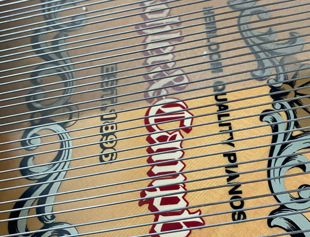 Close-up of a bamboo mat with the red Corona logo and black stylized designs.