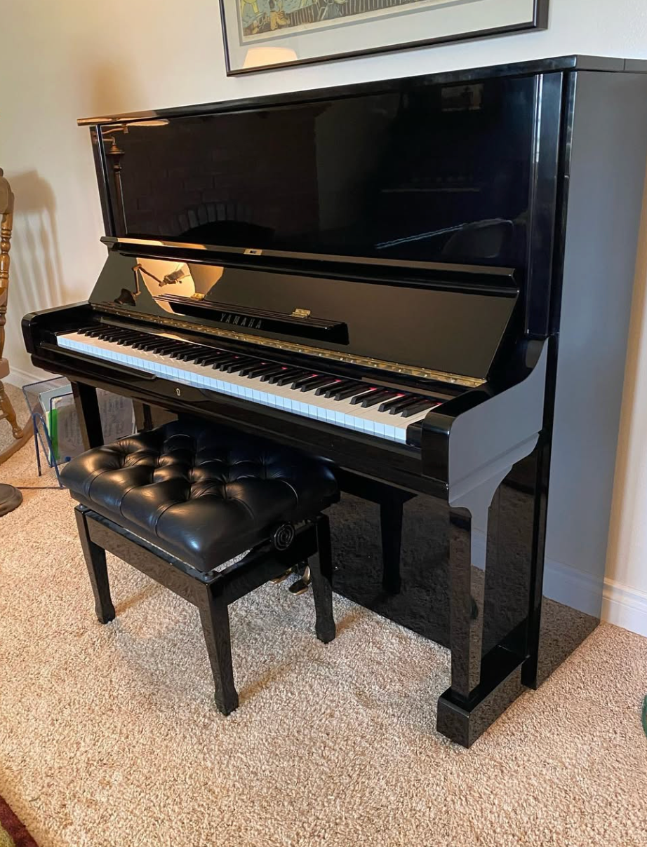 Black upright piano with matching bench in a carpeted room against a wall.