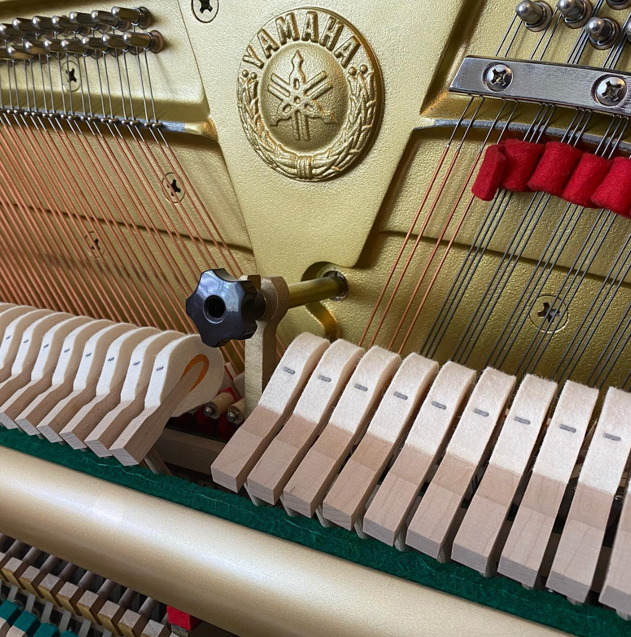 Close-up of piano hammers, strings, and felt dampers inside an upright piano.