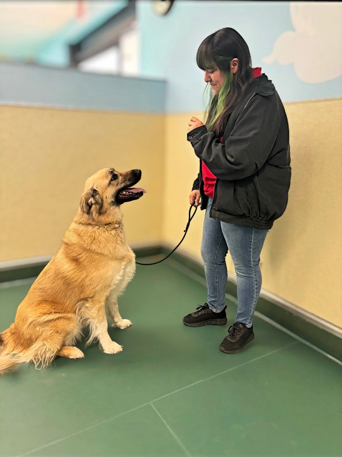 A woman is kneeling down next to a german shepherd dog.