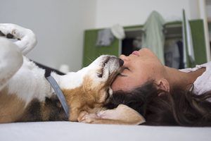 A woman is laying on a bed with a dog licking her face.