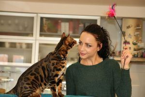 A woman is playing with a cat while holding a toy.