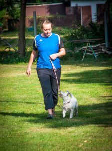 A woman is walking a dog on a leash in a grassy field.