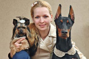 A woman is holding two dogs , a yorkie and a doberman.