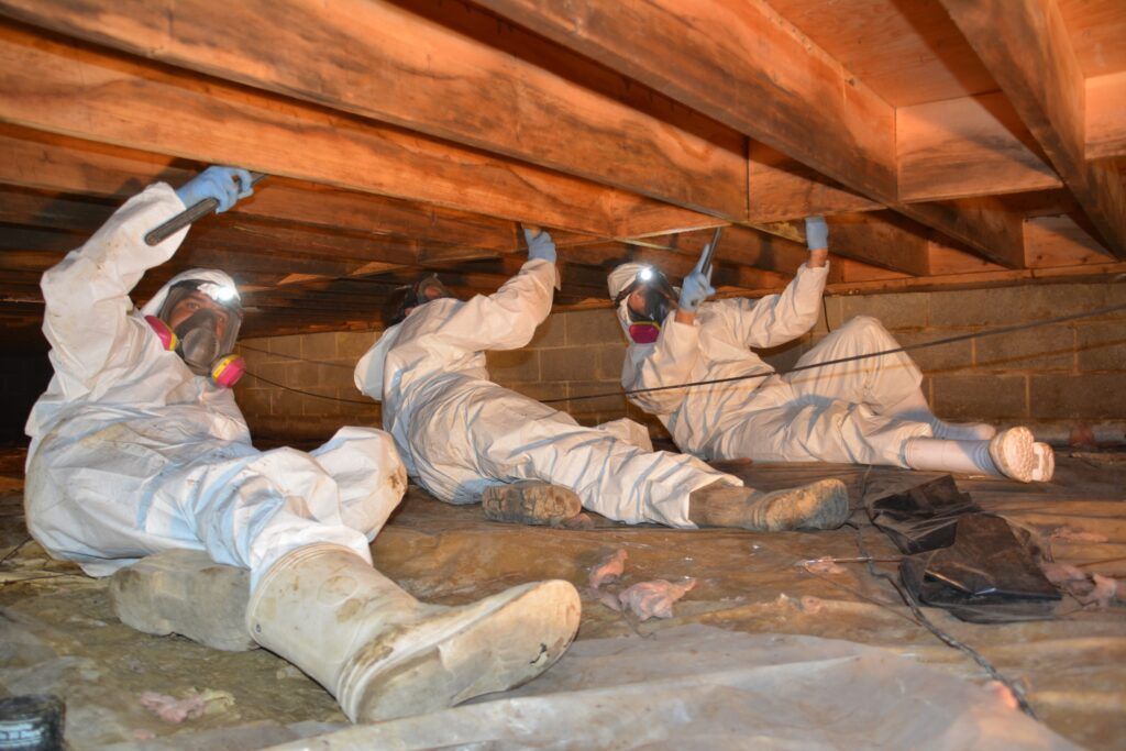 A group of people in protective suits are crawling under a house.